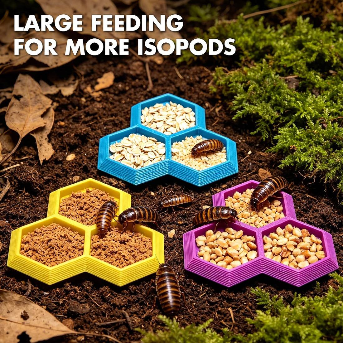 3 in 1 Dubia Roach Large Feeder Bowl, 6 PCS Isopod Food Dish