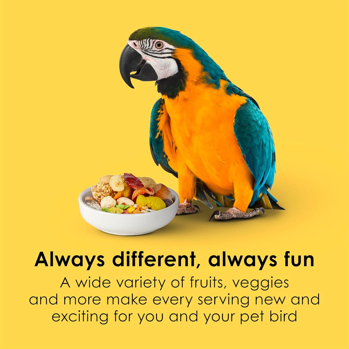 Kaytee Fiesta Macaw Food, Nutritious and Fun Blend, Supports Skin