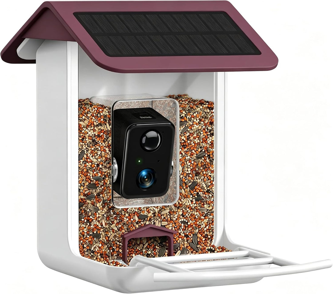 Smart Bird Feeder Camera - Free AI Forever for 1,1000+ Species
