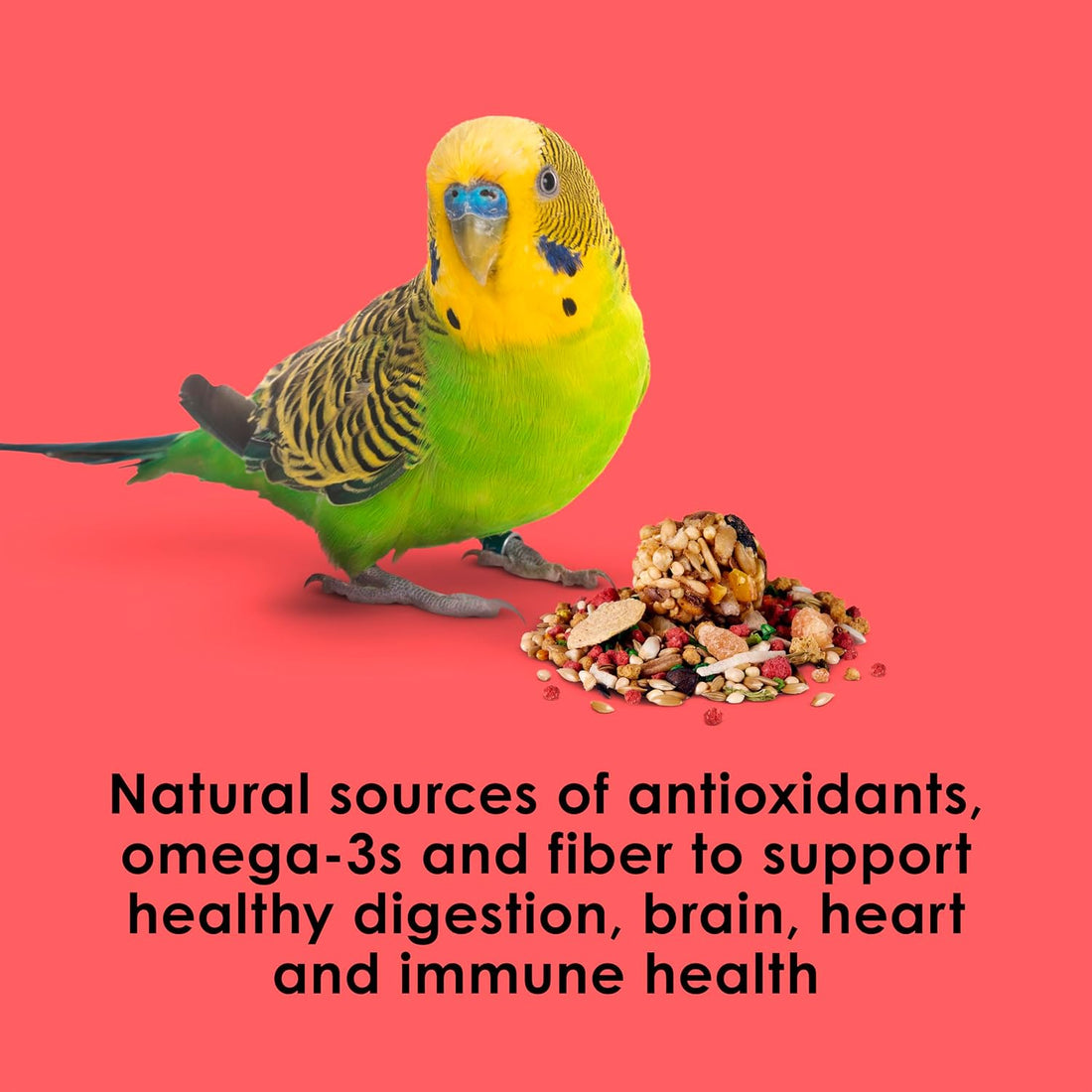 Kaytee Fiesta Parakeet Food, Nutritious and Fun Blend, Supports Skin
