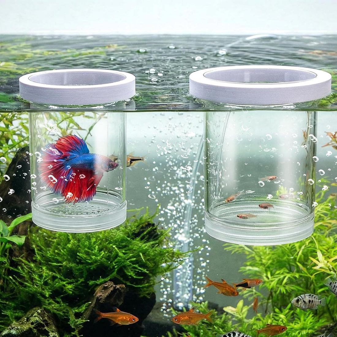 2 Pieces Breeder Box for Fish Tank, Floating Plastic