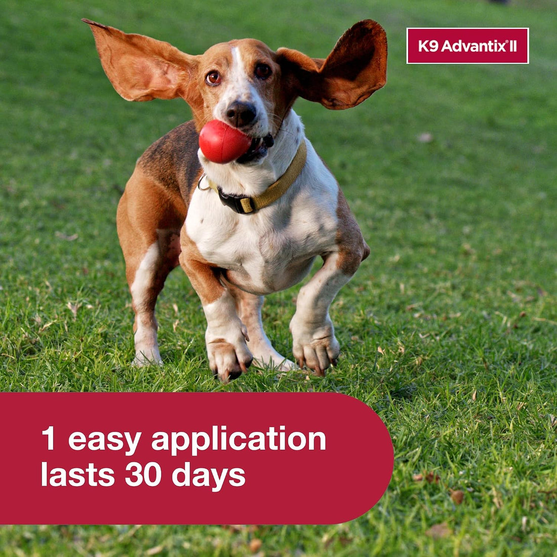 K9 Advantix II Medium Dog Vet-Recommended Flea
