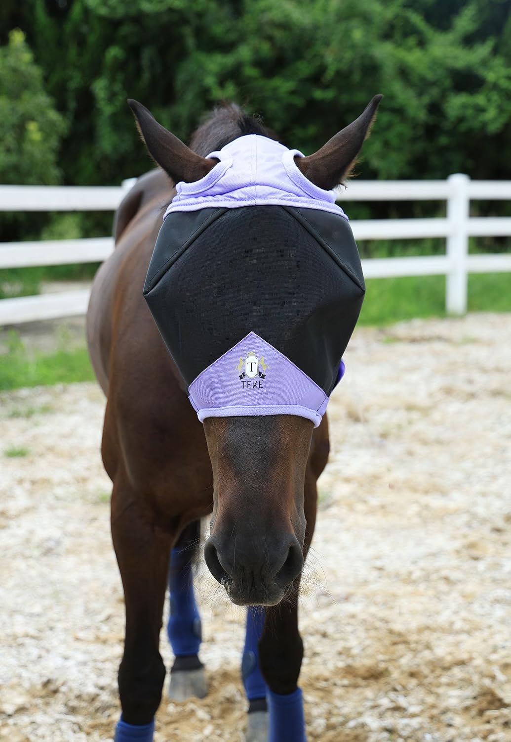 T TEKE Fine Mesh Horse Fly Mask w/No Ears