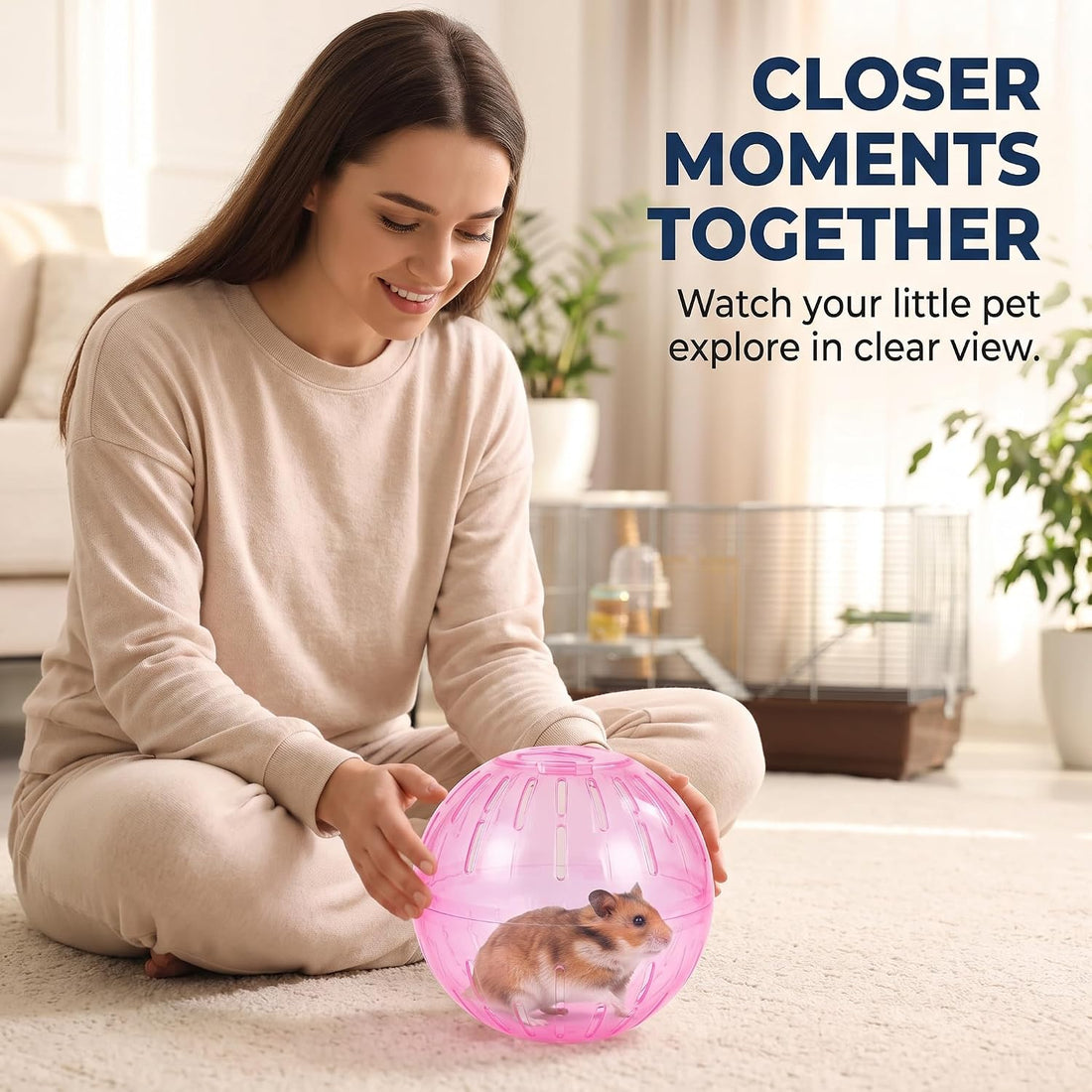 2Pcs Blue and Pink Hamster Balls Transparent Dwarf Hamster Exercise