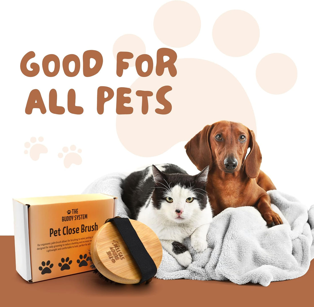 The Buddy System Pet Close Brush, Soft Touch Oval Palm Brush