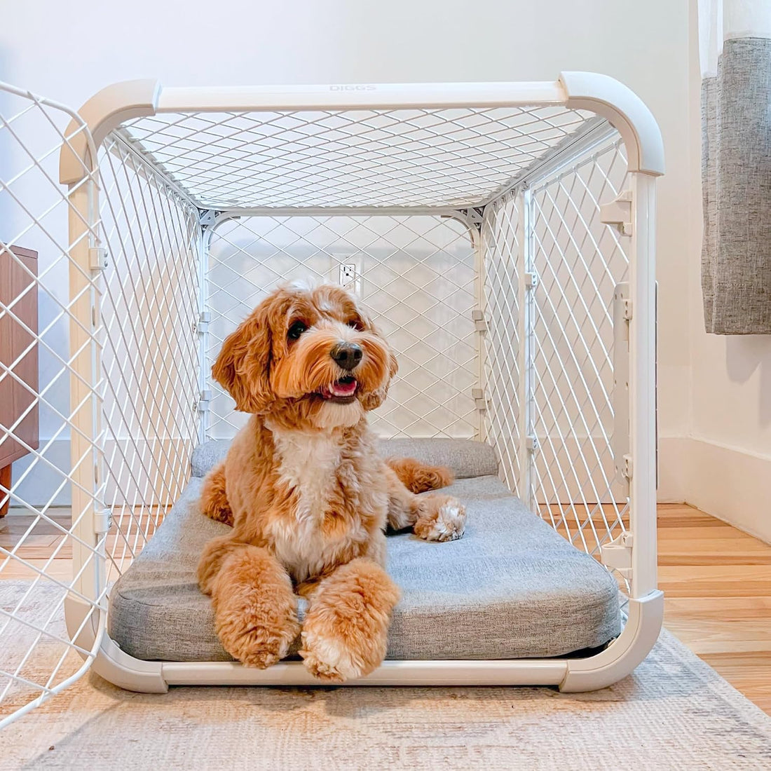 Diggs Evolv Modular Dog Crate for Dogs 18-22" Tall, Ash, Intermediate