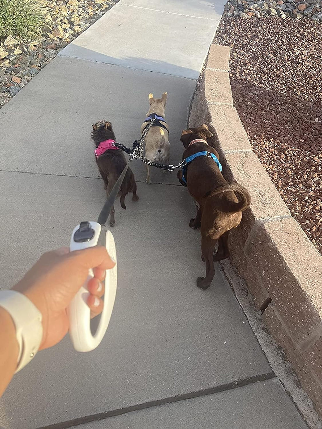 3 Way Dog Leash Coupler Heavy Duty No Pull Multiple Double Tangle