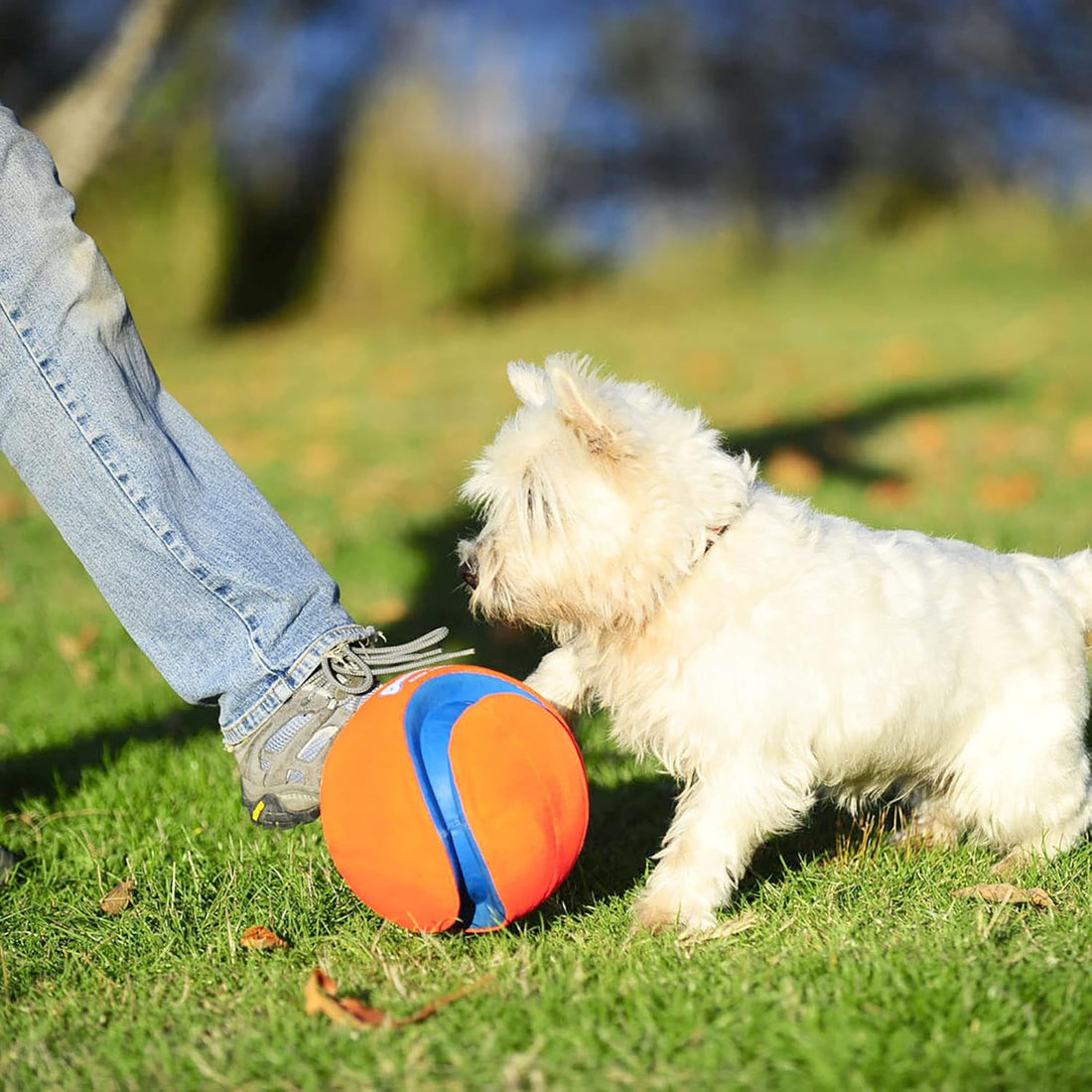 Chuckit! Kick Fetch Ball Dog Toy - Floats in Water
