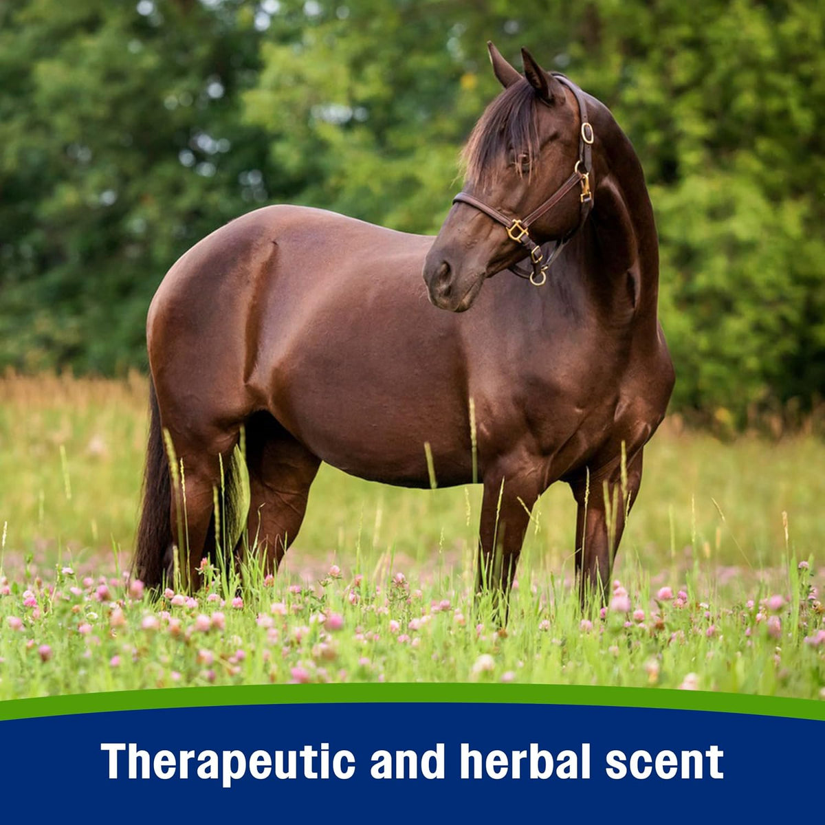 Farnam Equisect Natural Fly Spray for Horses, Dogs and Cats