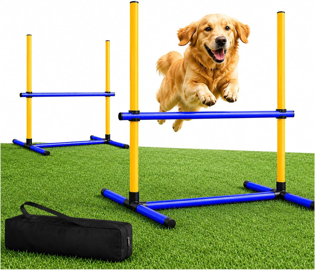 Dog Agility Equipment Set with Jumping Hoop for Agility Training