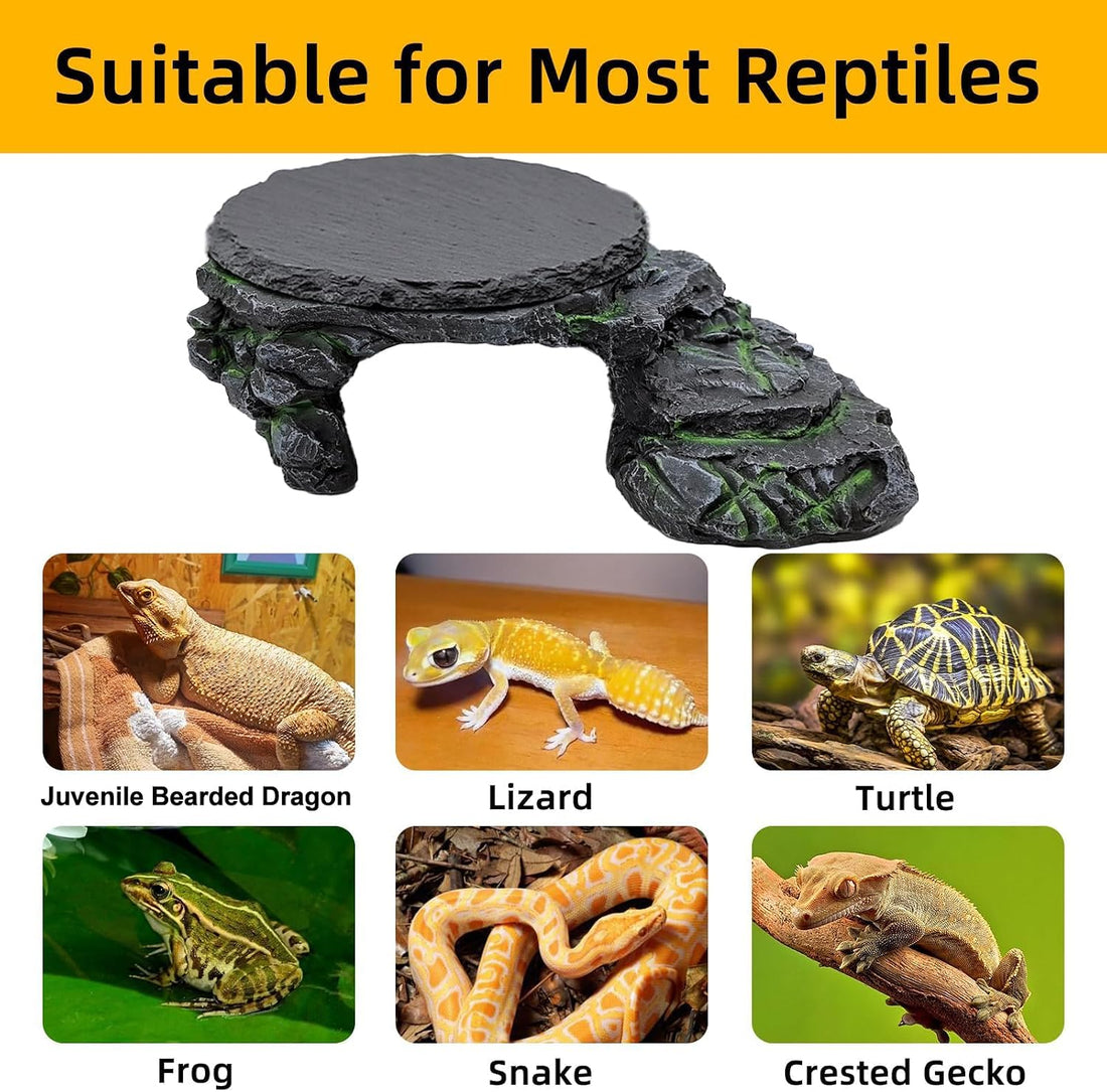 Reptile Basking Platform Gecko Hide Juvenile Beared Dragon Tank
