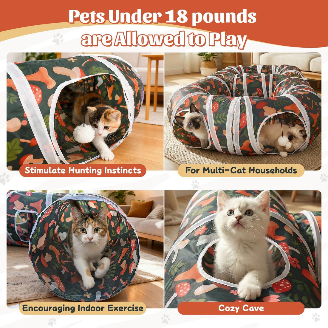 Cat Tunnel for Indoor Entertainment