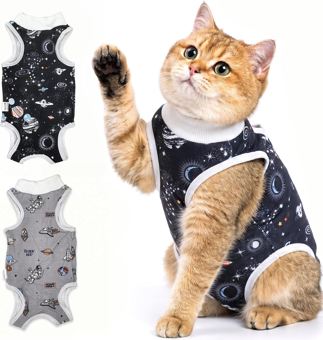 Avont 2-Pack Cat Recovery Suit for Spay Healing -Space M 2026 New