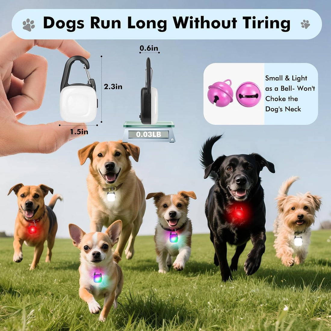 Dog Lights for Night Walking,2 Pack LED Rechargeable Safety Dog