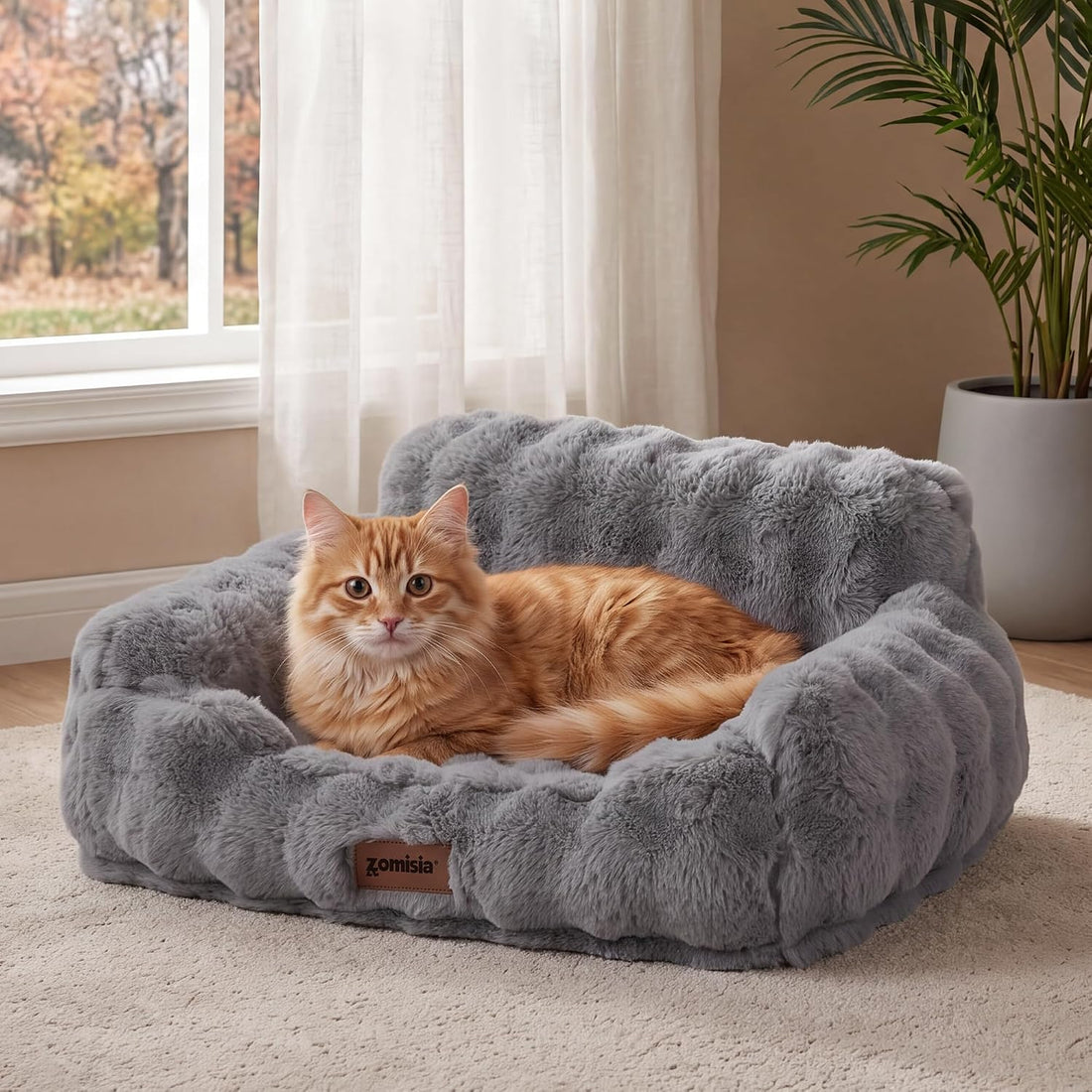 ZOMISIA Orthopedic Cat Couch Bed for Indoor Cats