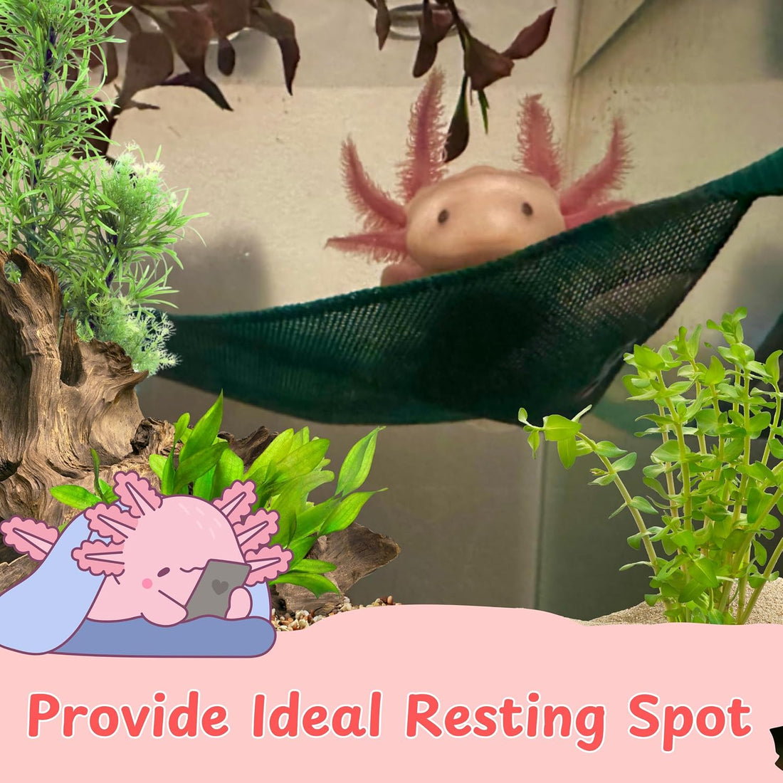 Axolotl Hammock for Aquarium and Ceramic Feeding Dish, Axolotl Hammock