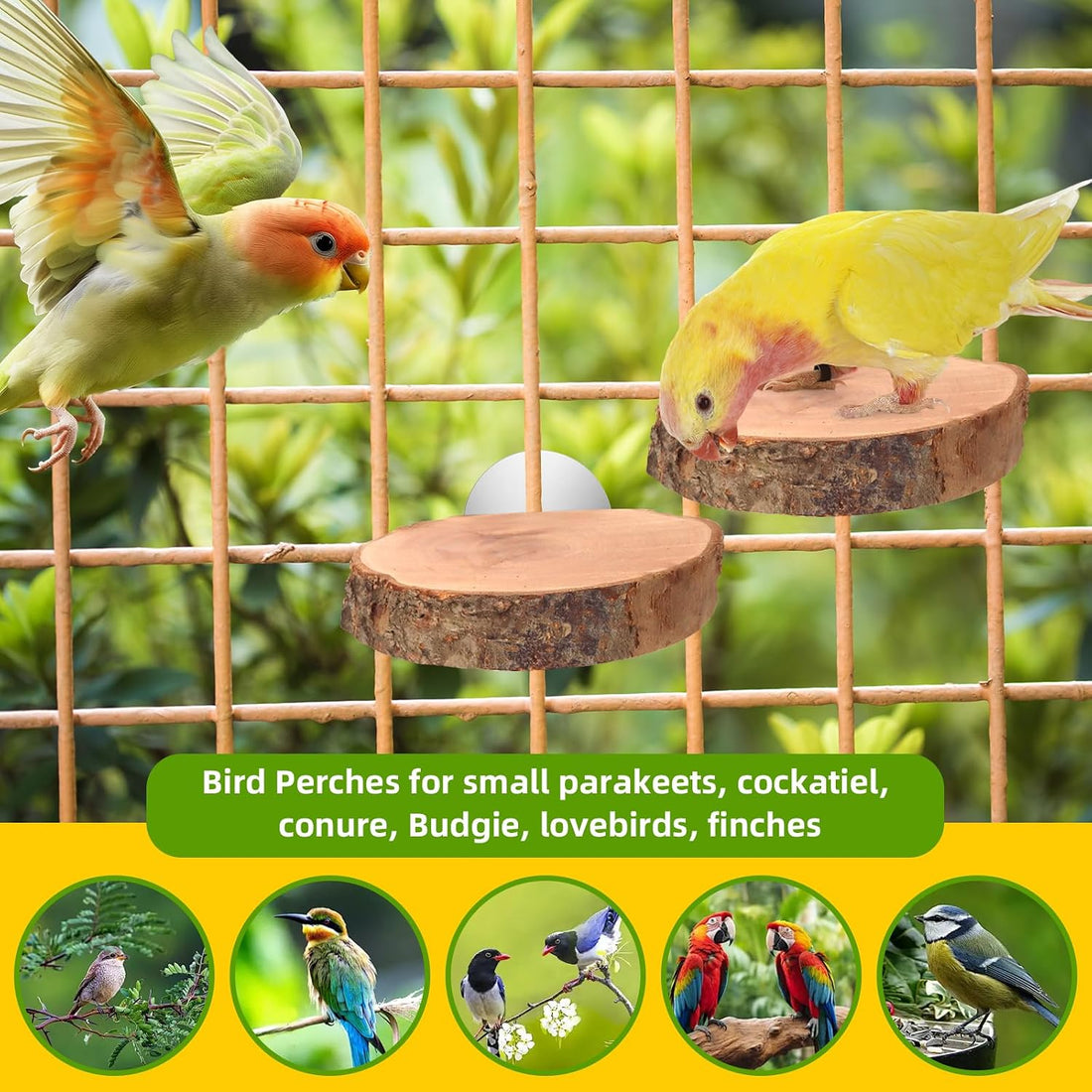 4 Pcs Natural Apple Wood Round Bird Perch Platform for Cage
