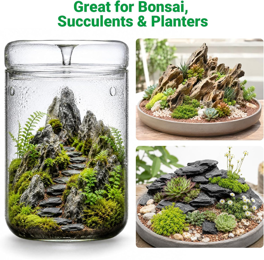Natural Slate Stone 2-3 in 1LB Terrarium Rock for Miniature
