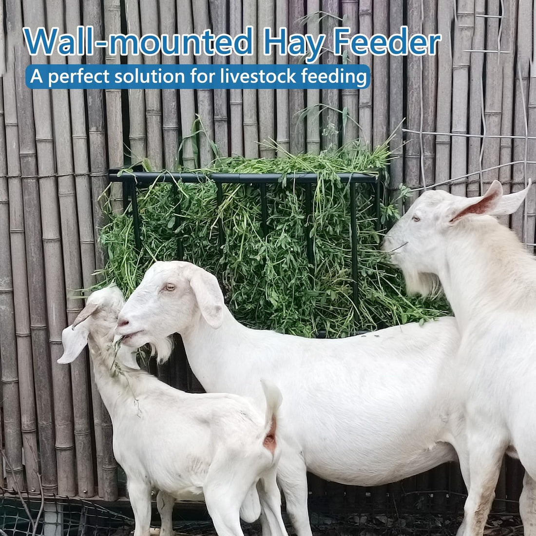 Wall Mount Hay Rack 25 Gallon