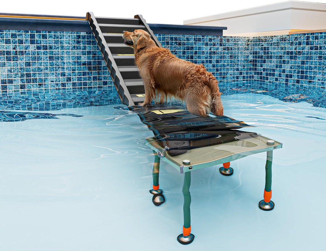 Adjustable 4-Leg Dog Pool Ramp