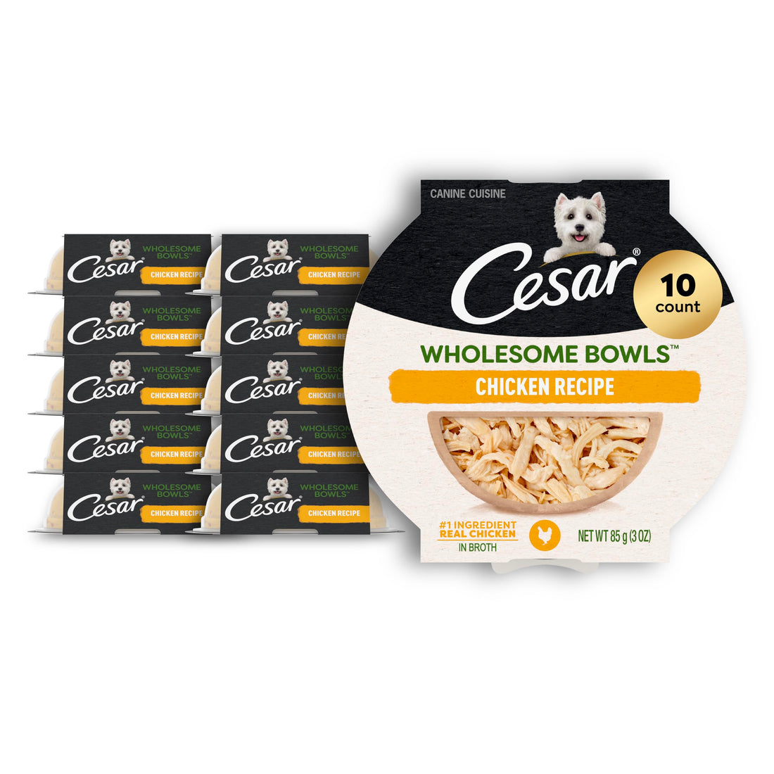 Cesar Wholesome Bowls Adult Wet Dog Food, Chicken, Recipe