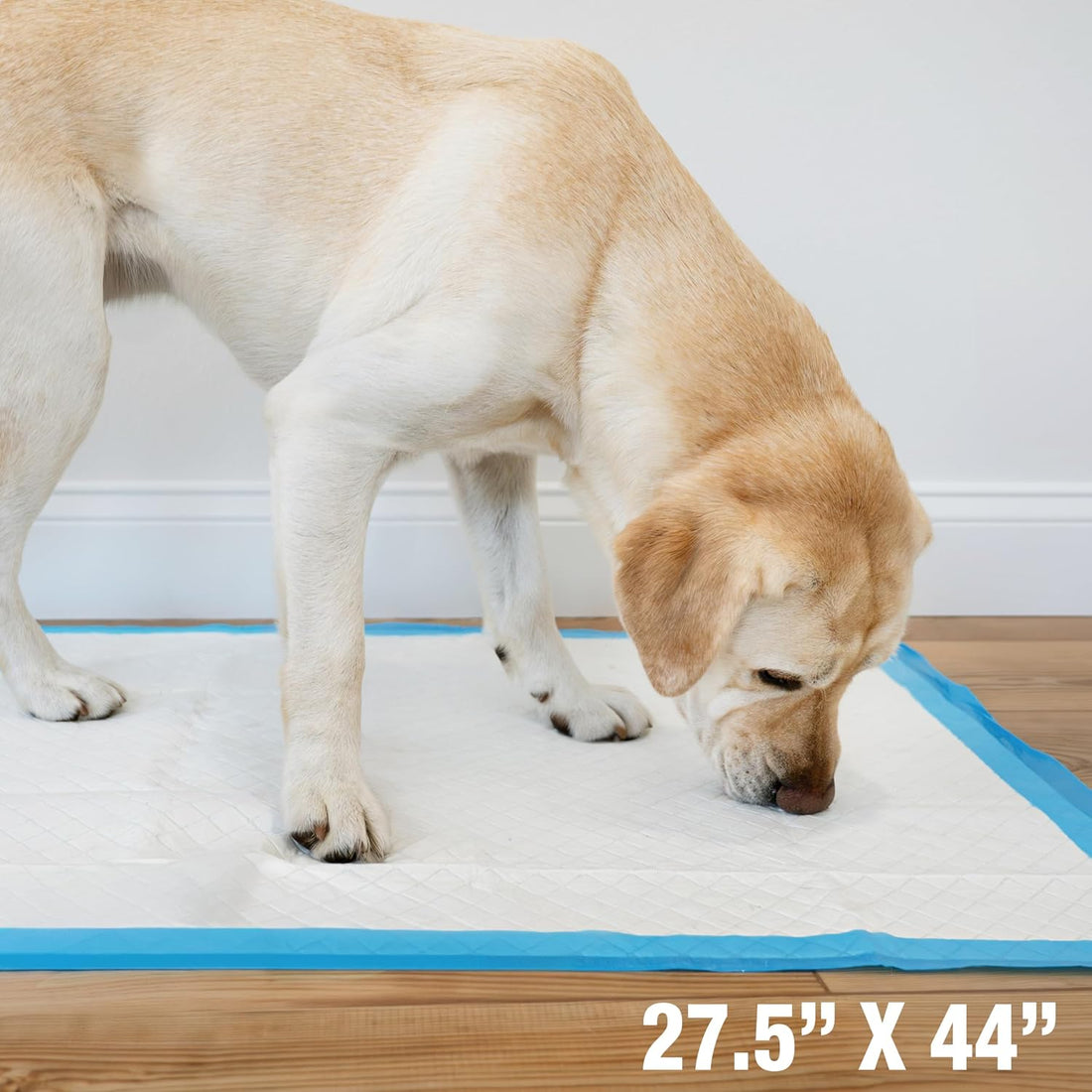Four Paws Wee-Wee Superior Performance Pee Pads for Dogs with Runoff