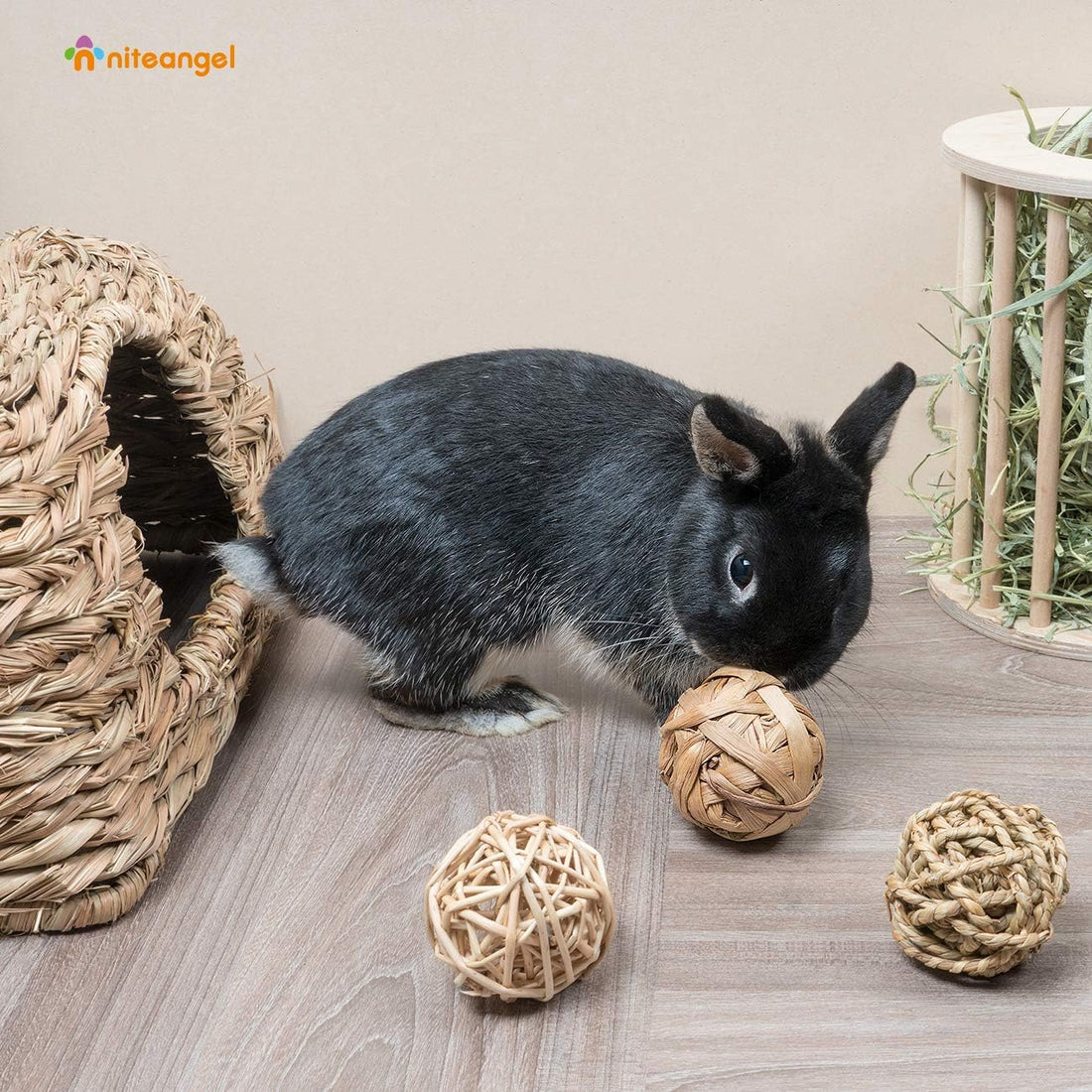 Niteangel Natural Chew Activity Toys