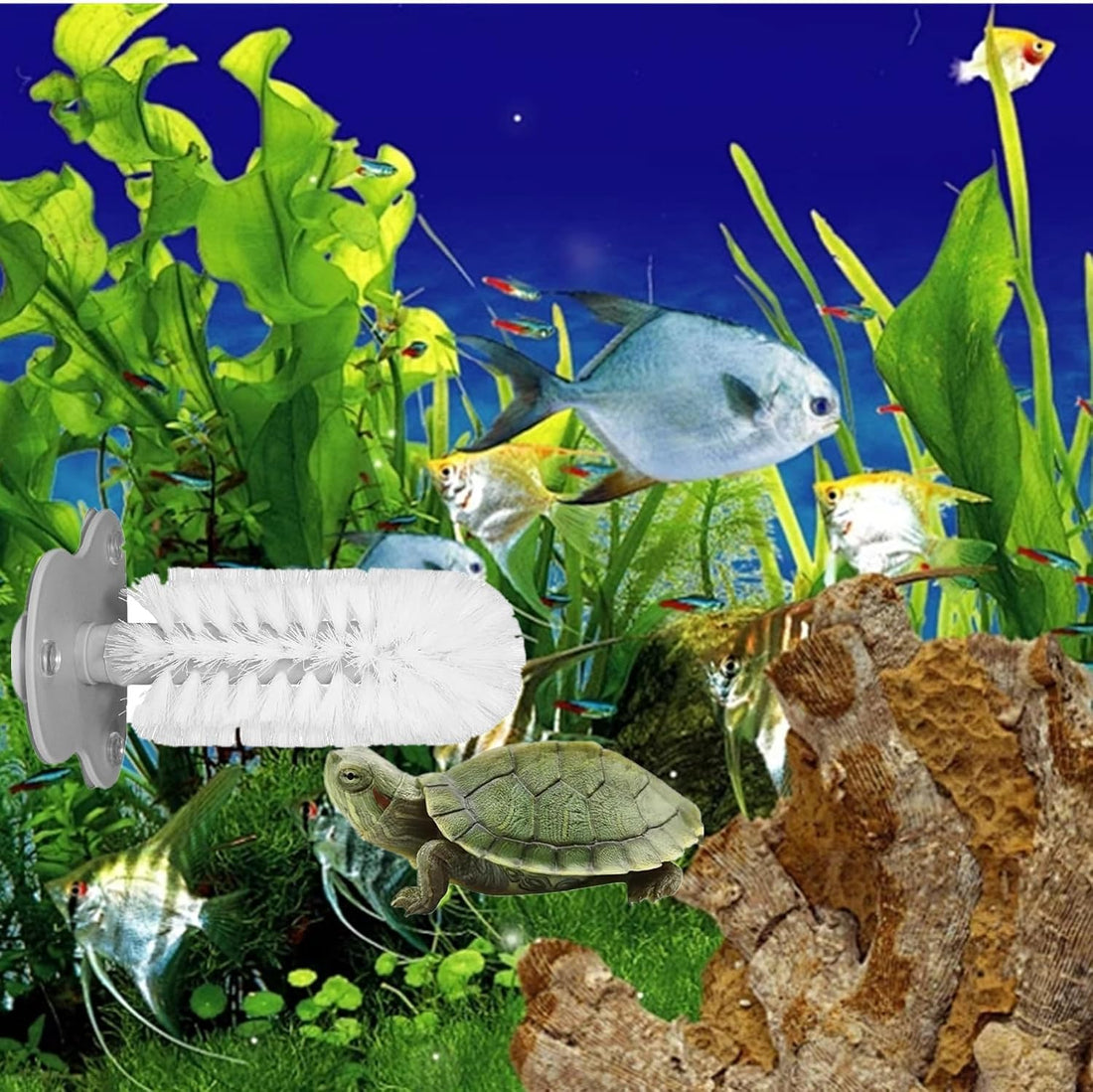 2 Pack Turtle Brush with Suction Cup