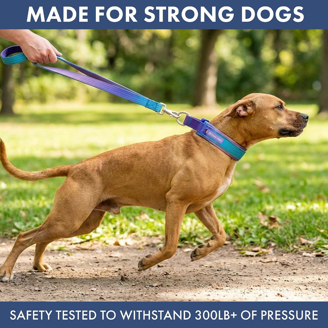 Spark Paws Martingale Dog Collar – Cushioned Slip-On Training Collar