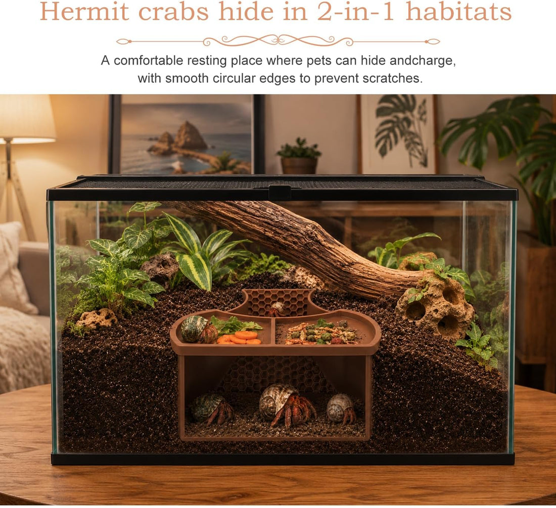 Hermit Crab Climbing Toy, Reptile Habitat Decor Exercise Playground