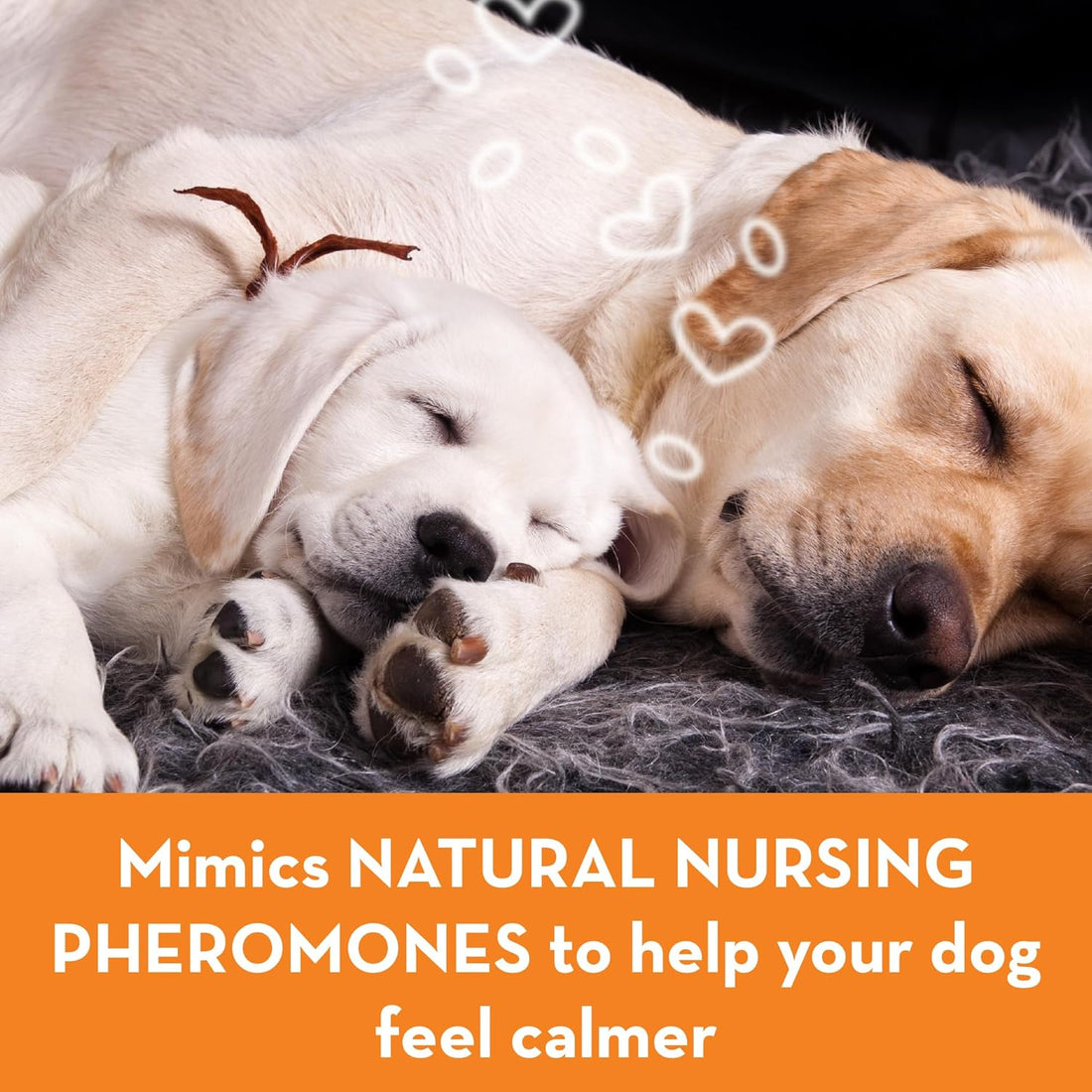 ThunderEase Calming Collar for Dogs (Large)