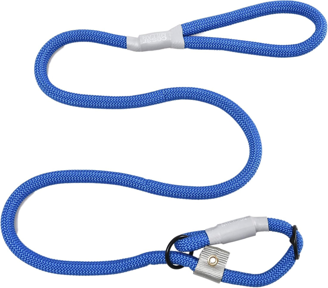 Cesar Millan Slip Lead Leash | Dog Leash | in Training Leash
