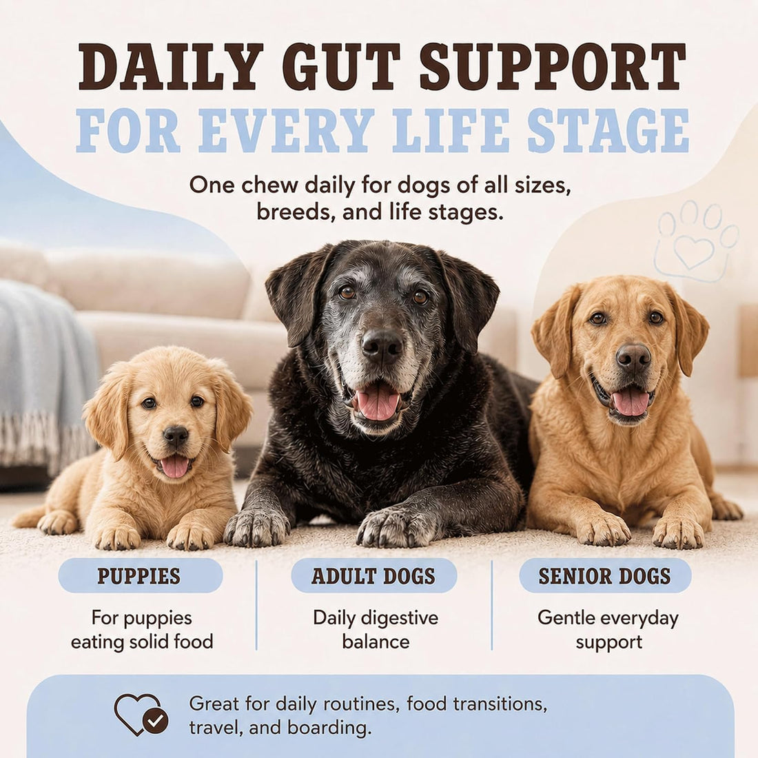 Natural Dog Company Probiotics for Dogs