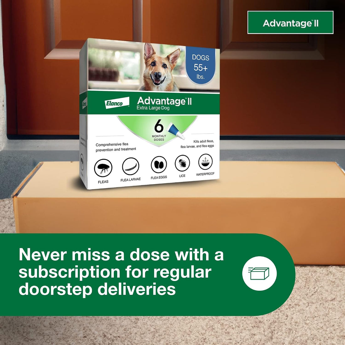 Advantage II XL Dog Vet-Recommended Flea Treatment & Prevention