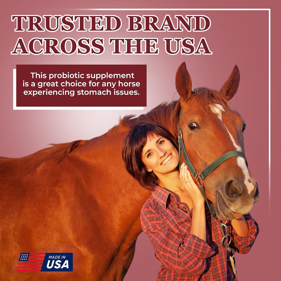 EQUERRY'S Better Horse Belly - Supplement for Horses with Gut Support