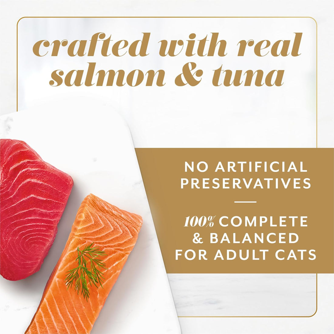 Fancy Feast Gems Pate Cat Food Mousse Salmon or Tuna and a Halo