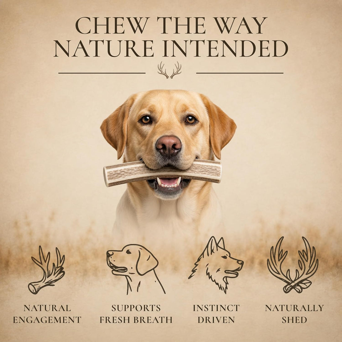 WhiteTail Naturals - Premium Split Elk Antlers for Dogs