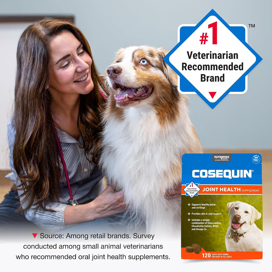 Nutramax Cosequin for Dogs Joint Health Supplement
