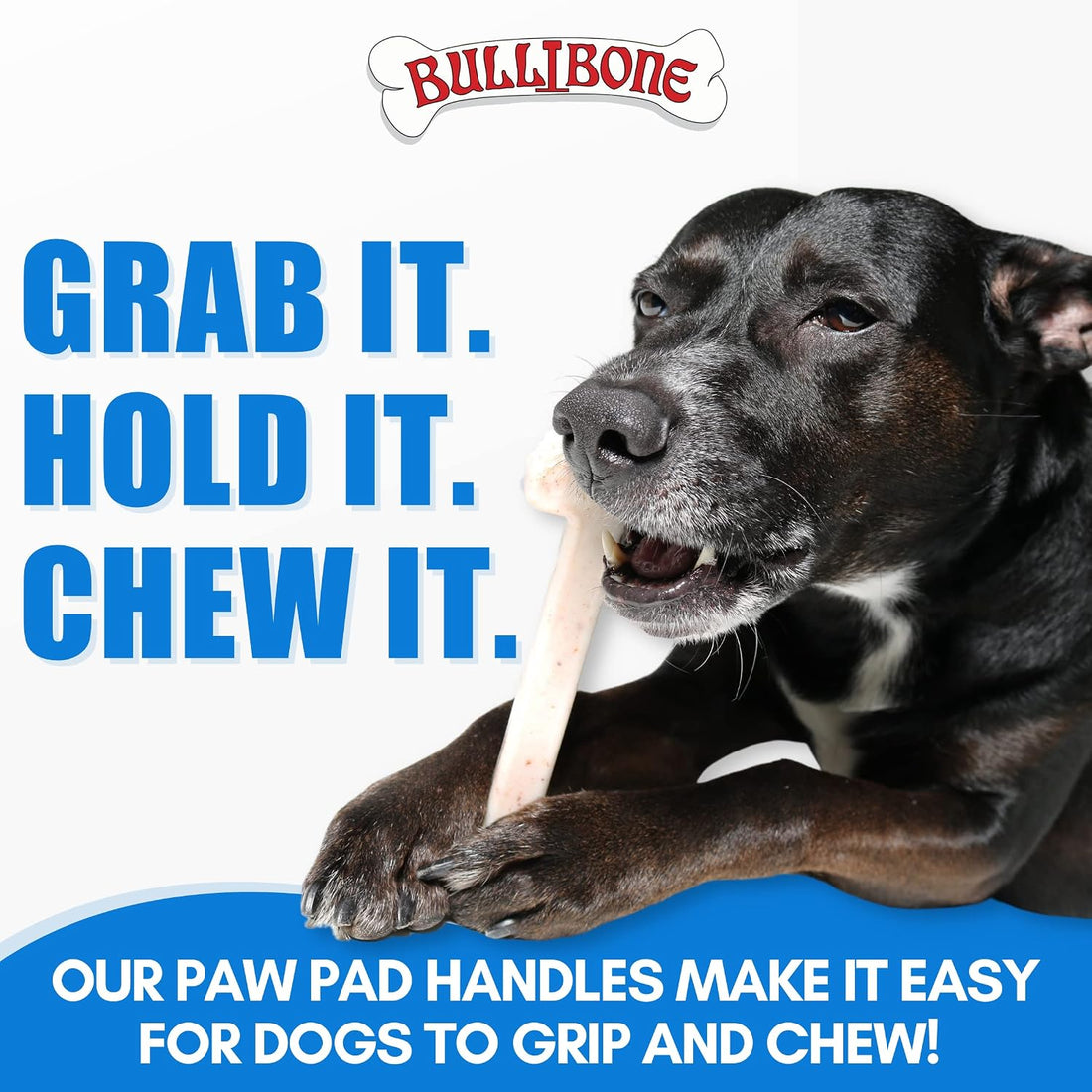 Bullibone Nylon Dog Chew Toy for Aggressive Chewers