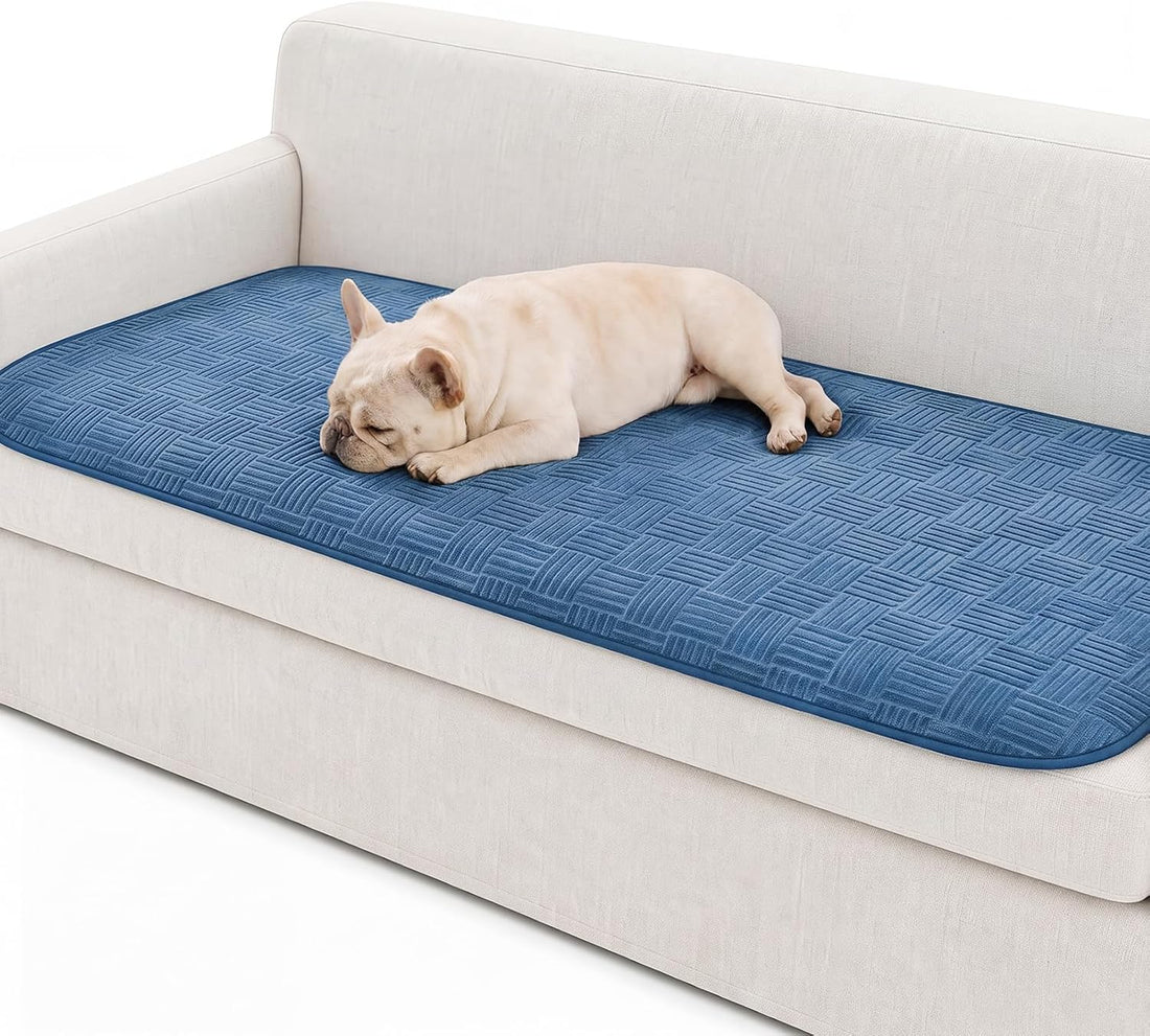 Luciphia Waterproof Couch Cover for Dogs Cats, Pet Blanket