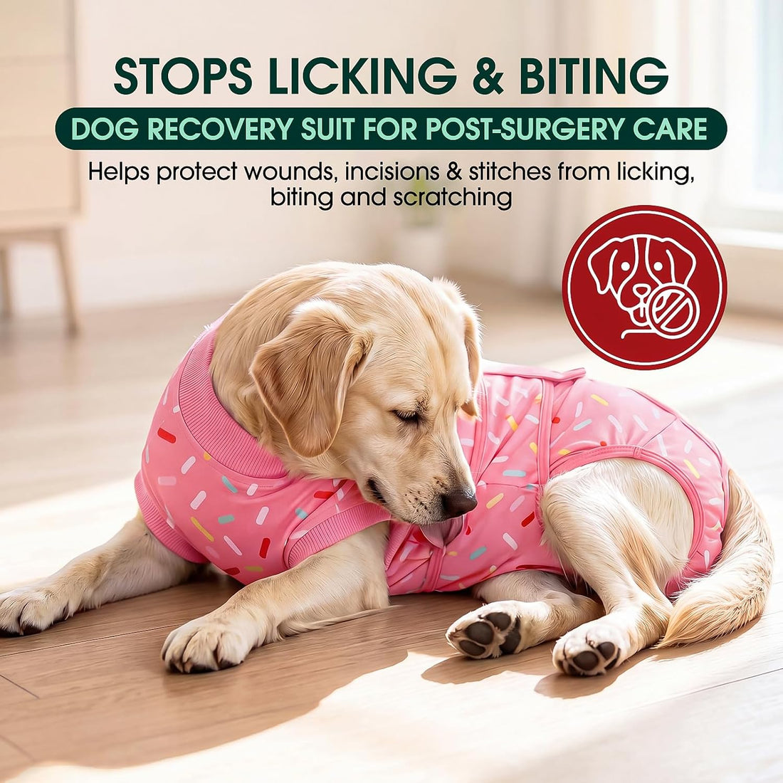 Kuoser Recovery Suit for Dogs After Surgery