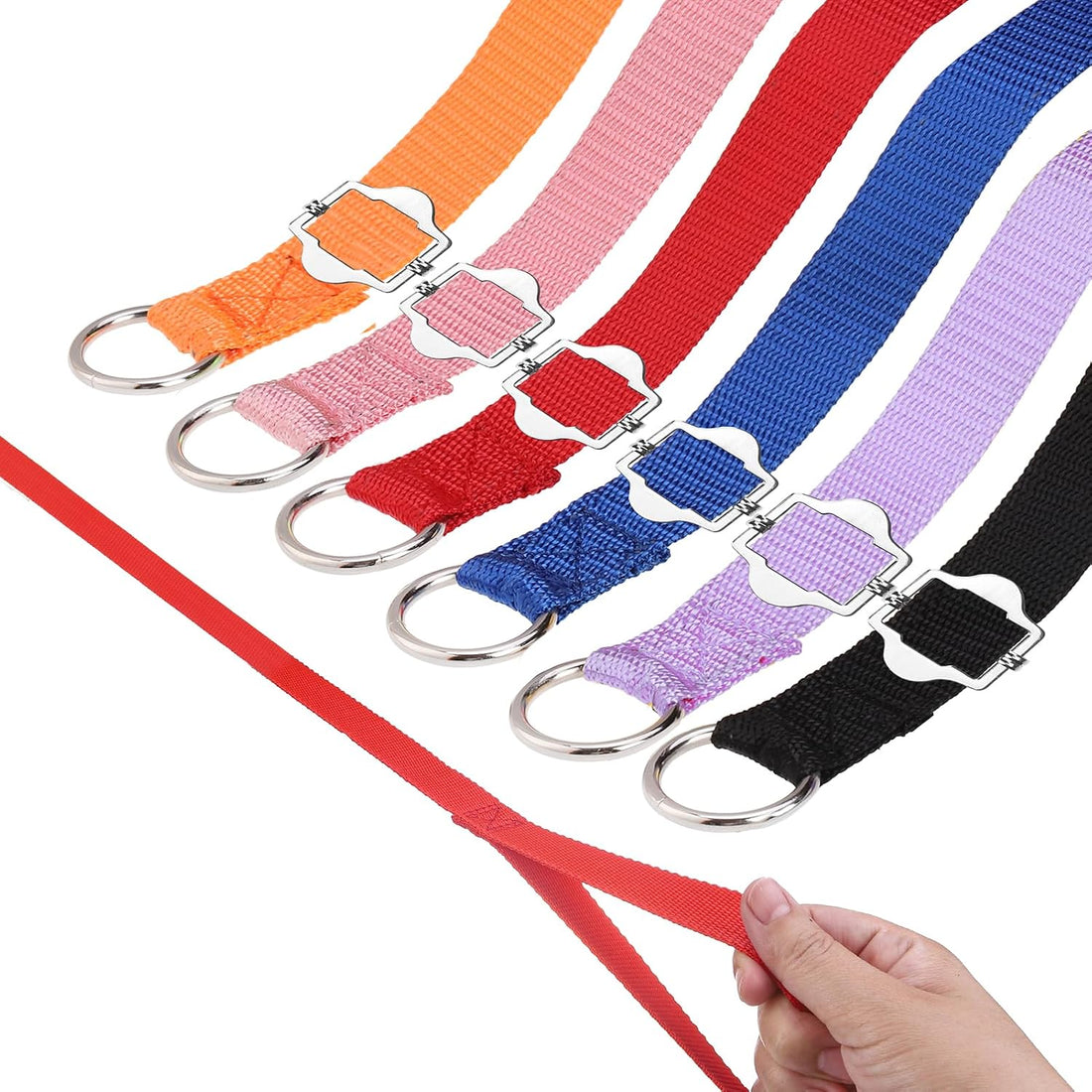 HOMIMP Slip Lead Dog Leash 6 FT- 48 PCS Bulk Colors Kennel Control