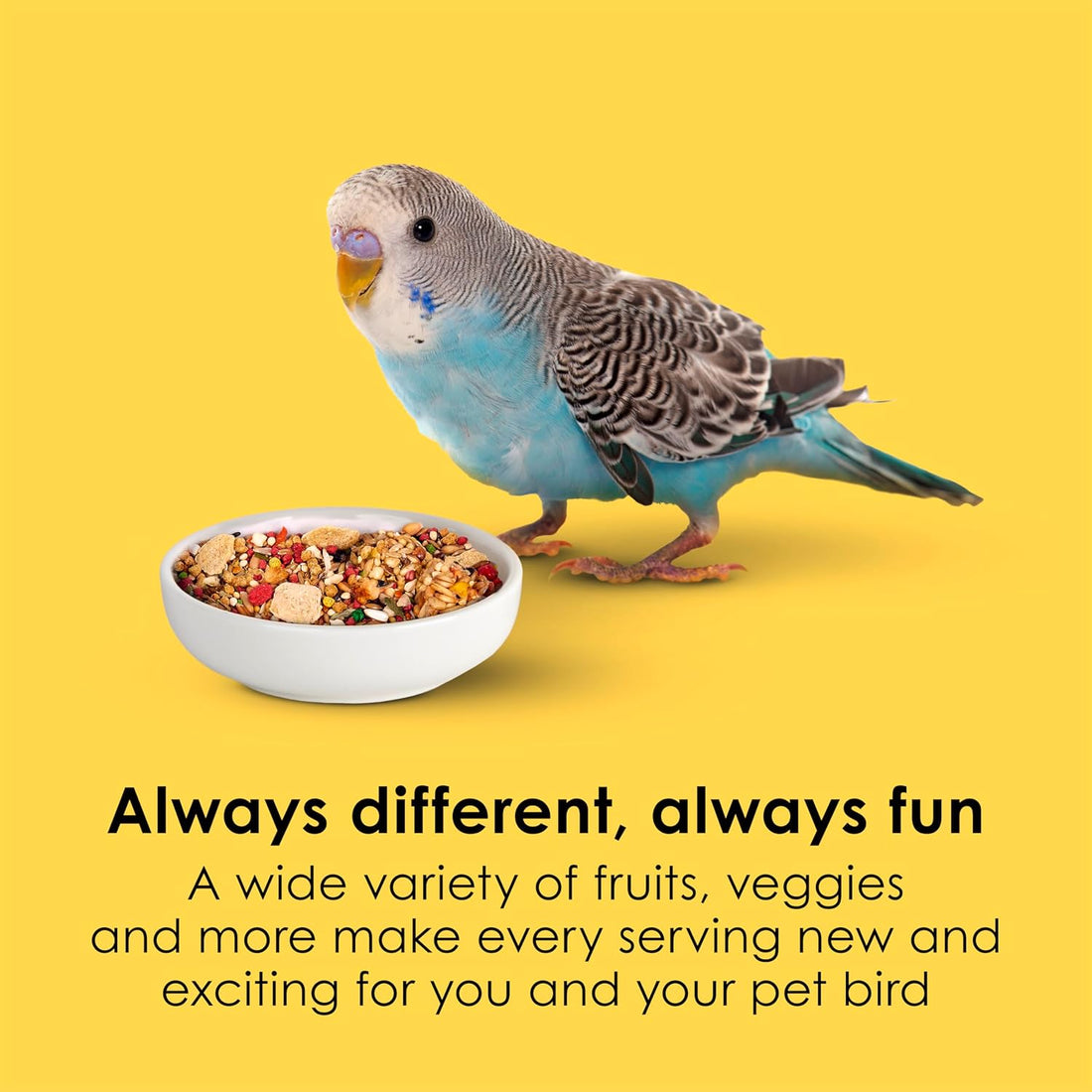 Kaytee Fiesta Parakeet Food, Nutritious and Fun Blend, Supports Skin