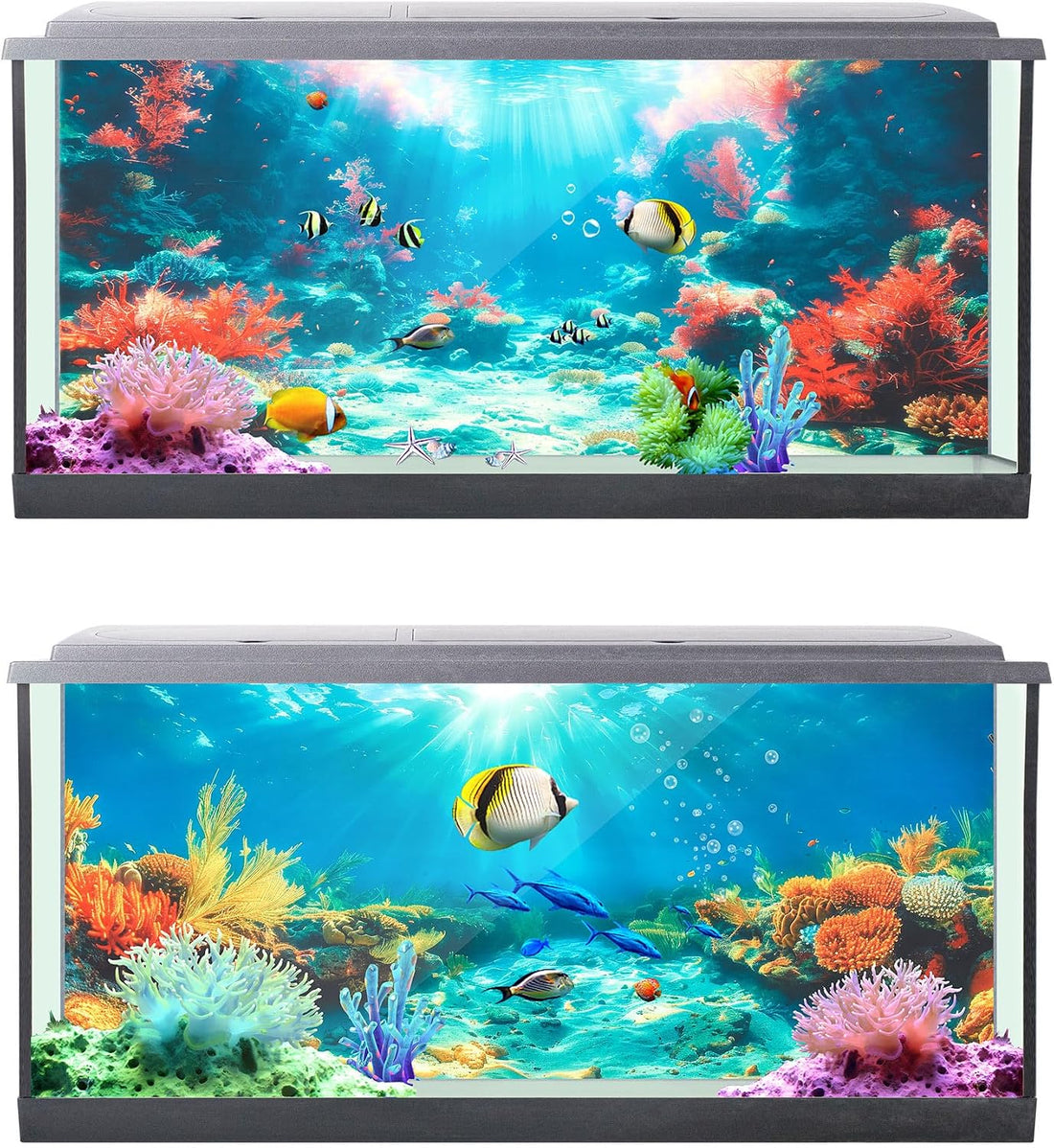 Mindsoft 4 Pack Aquarium Background
