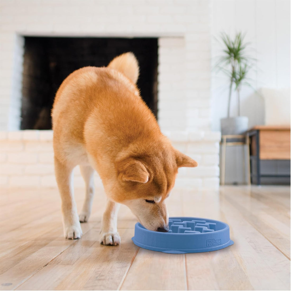 Outward Hound Fun Feeder Slo Bowl – Medium 2‑Cup Capacity