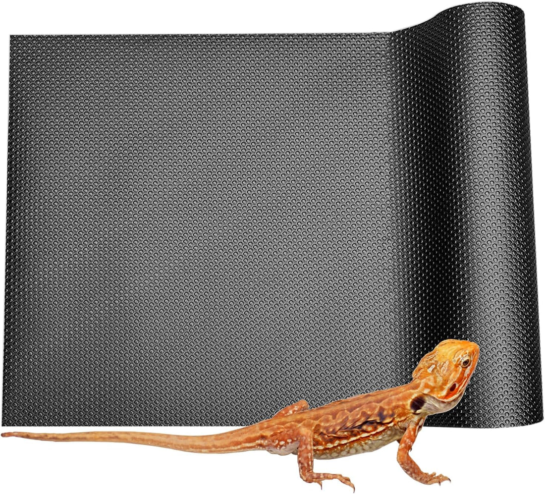 Bearded Dragon Tank Accessories