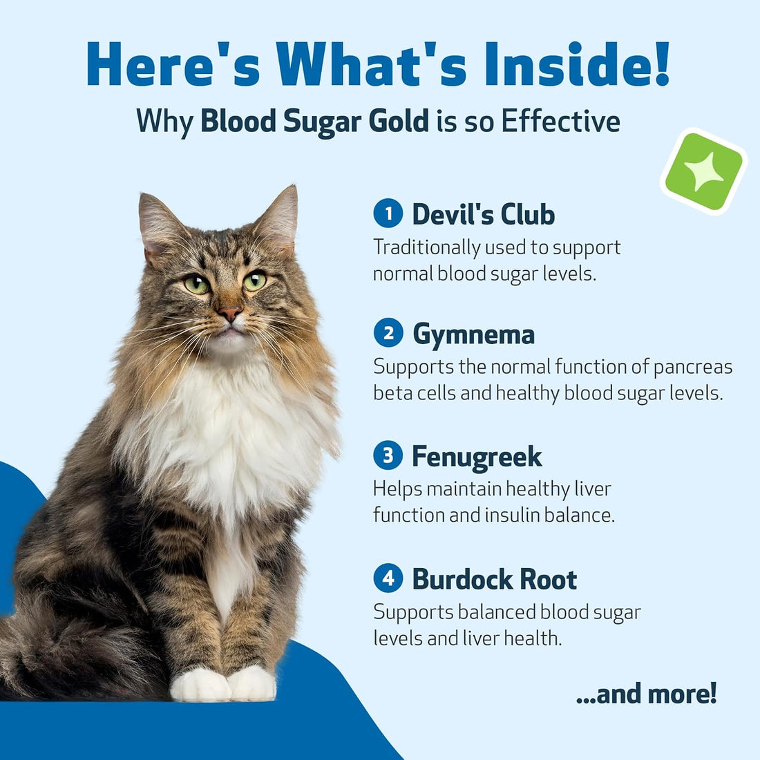 Pet Wellbeing Blood Sugar Gold for Cats - Blood Sugar Support, 2 oz