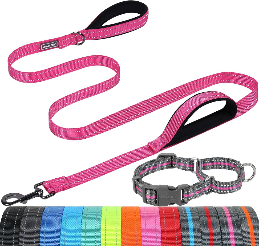 VIVAGLORY Double Handle Dog Leash Twingrip, 4ft x 1in