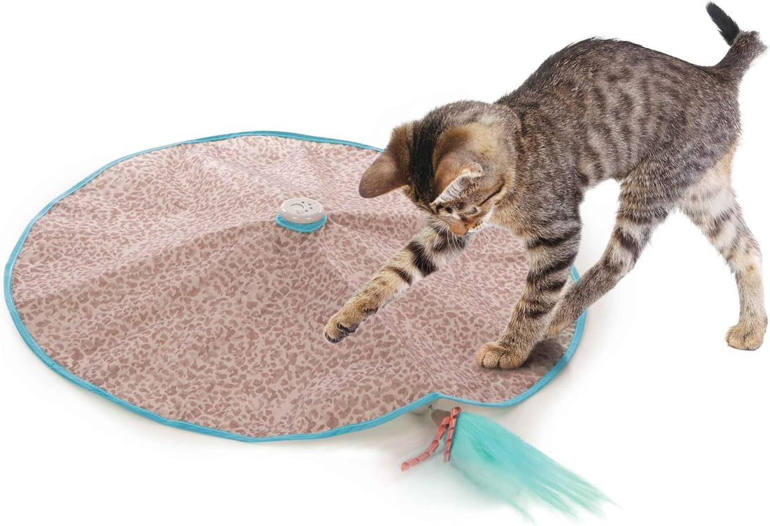 SmartyKat Hidden Hijinks Toy for Indoor Cats & Kittens