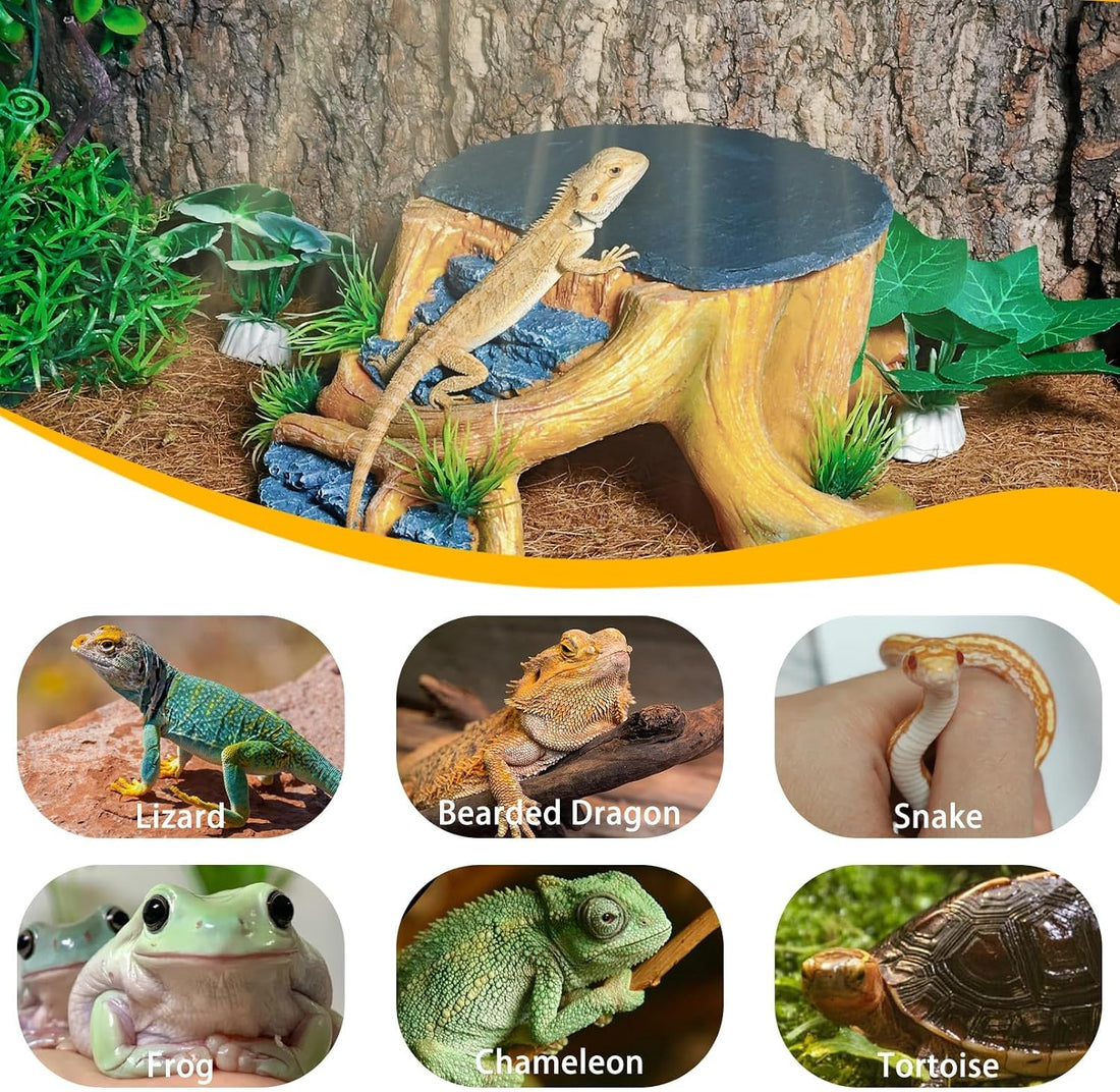 Bearded Dragon Basking Platform,Reptile Hide Cave with Basking Rock